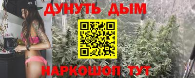 сатива Можга