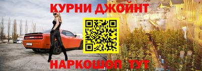 сатива Можга