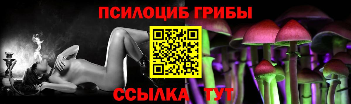Псилоцибиновые грибы Psilocybine cubensis Щёлково